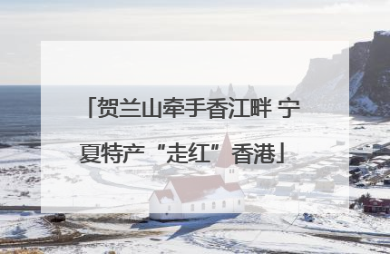 贺兰山牵手香江畔 宁夏特产“走红”香港