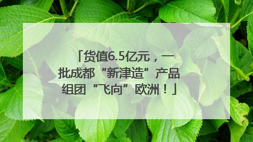 货值6.5亿元，一批成都“新津造”产品组团“飞向”欧洲！