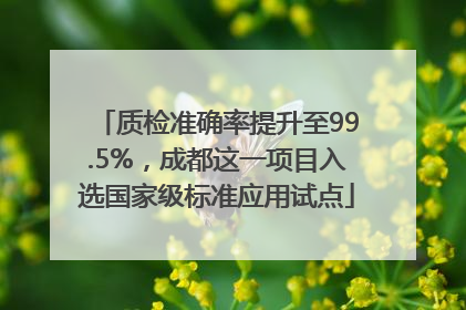 质检准确率提升至99.5%，成都这一项目入选国家级标准应用试点