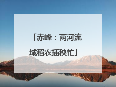 赤峰：两河流域稻农插秧忙