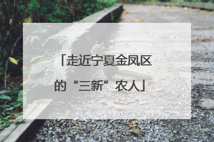 走近宁夏金凤区的“三新”农人