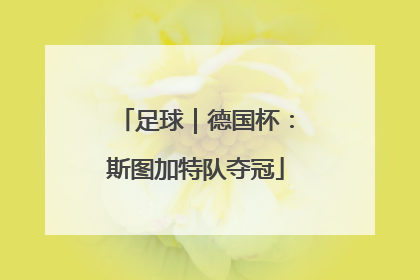 足球｜德国杯：斯图加特队夺冠