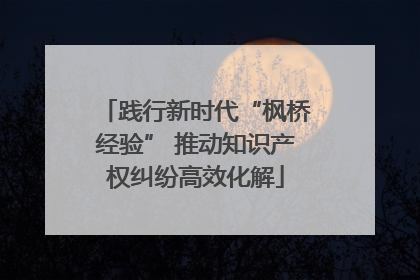 践行新时代“枫桥经验” 推动知识产权纠纷高效化解