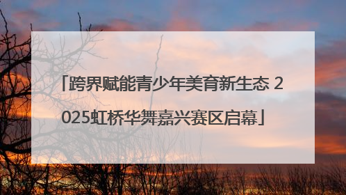 跨界赋能青少年美育新生态 2025虹桥华舞嘉兴赛区启幕