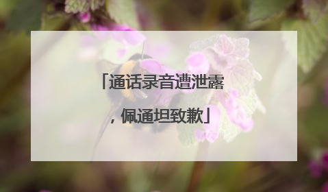 通话录音遭泄露，佩通坦致歉