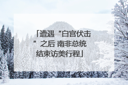 遭遇“白宫伏击”之后 南非总统结束访美行程