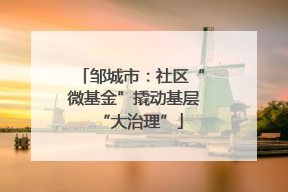 邹城市：社区“微基金”撬动基层“大治理”