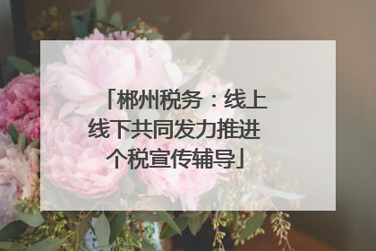 郴州税务：线上线下共同发力推进个税宣传辅导