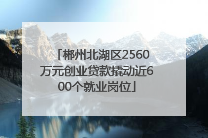 郴州北湖区2560万元创业贷款撬动近600个就业岗位