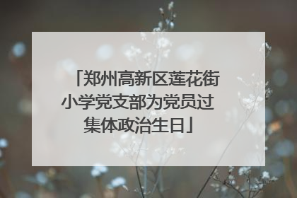 郑州高新区莲花街小学党支部为党员过集体政治生日