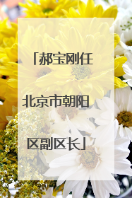 郝宝刚任北京市朝阳区副区长