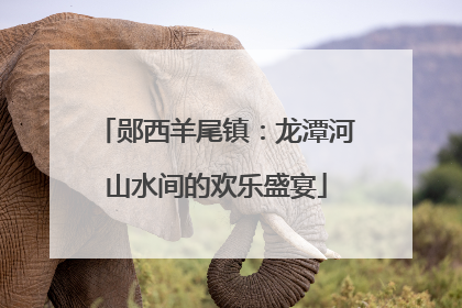 郧西羊尾镇：龙潭河山水间的欢乐盛宴