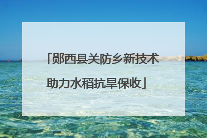 郧西县关防乡新技术助力水稻抗旱保收
