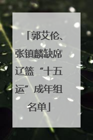 郭艾伦、张镇麟缺席辽篮“十五运”成年组名单