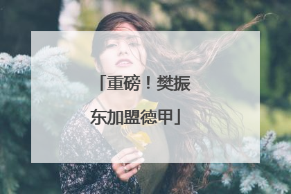 重磅！樊振东加盟德甲