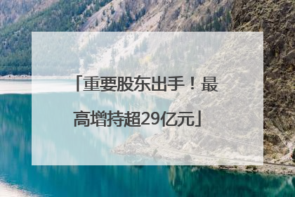 重要股东出手！最高增持超29亿元