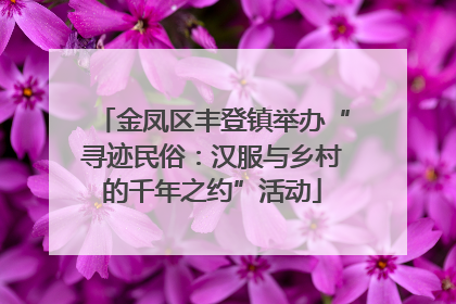 金凤区丰登镇举办“寻迹民俗：汉服与乡村的千年之约”活动