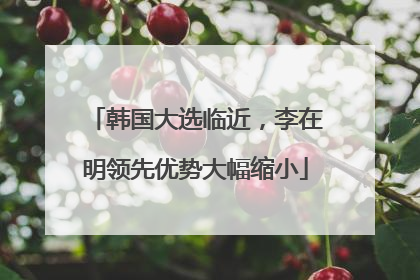 韩国大选临近，李在明领先优势大幅缩小