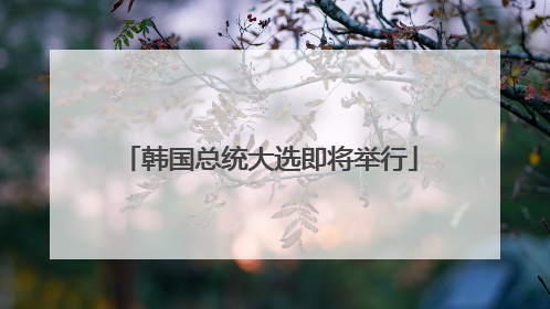 韩国总统大选即将举行