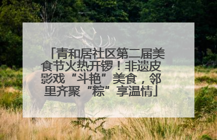 青和居社区第二届美食节火热开锣！非遗皮影戏“斗艳”美食，邻里齐聚“粽”享温情