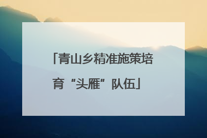 青山乡精准施策培育“头雁”队伍