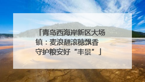 青岛西海岸新区大场镇：麦浪翻滚穗飘香 守护粮安好“丰景”