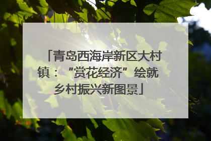 青岛西海岸新区大村镇：“赏花经济”绘就乡村振兴新图景