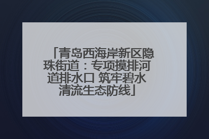 青岛西海岸新区隐珠街道：专项摸排河道排水口 筑牢碧水清流生态防线