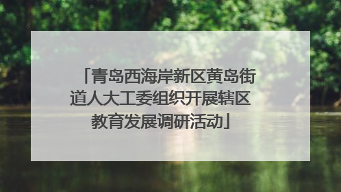 青岛西海岸新区黄岛街道人大工委组织开展辖区教育发展调研活动