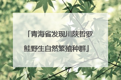青海省发现川陕哲罗鲑野生自然繁殖种群
