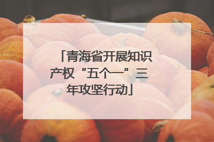 青海省开展知识产权“五个一”三年攻坚行动