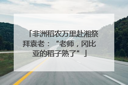 非洲稻农万里赴湘祭拜袁老：“老师，冈比亚的稻子熟了”