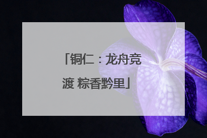 铜仁：龙舟竞渡 粽香黔里