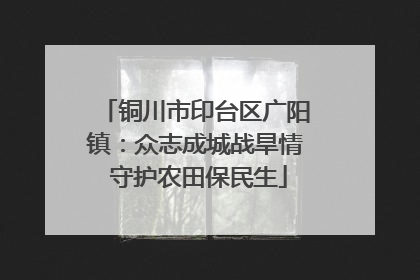 铜川市印台区广阳镇：众志成城战旱情 守护农田保民生