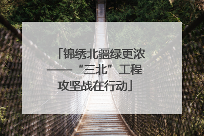 锦绣北疆绿更浓——“三北”工程攻坚战在行动