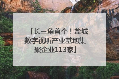 长三角首个！盐城数字视听产业基地集聚企业113家