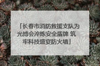 长春市消防救援支队为光博会淬炼安全盾牌 筑牢科技盛宴防火墙