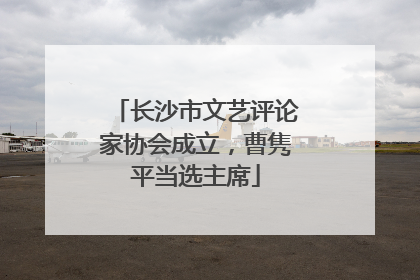 长沙市文艺评论家协会成立，曹隽平当选主席