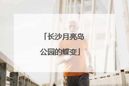 长沙月亮岛公园的蝶变