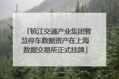 镇江交通产业集团智慧停车数据资产在上海数据交易所正式挂牌