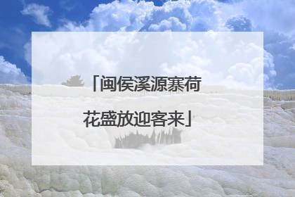 闽侯溪源寨荷花盛放迎客来