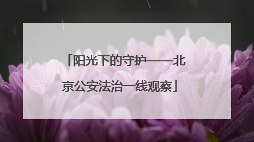 阳光下的守护——北京公安法治一线观察