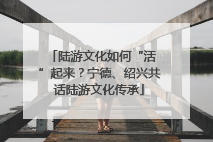 陆游文化如何“活 ”起来？宁德、绍兴共话陆游文化传承