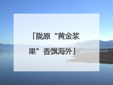 陇原“黄金浆果”香飘海外