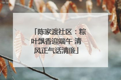 陈家渡社区：粽叶飘香迎端午 清风正气话清廉