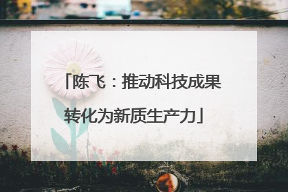 陈飞：推动科技成果转化为新质生产力