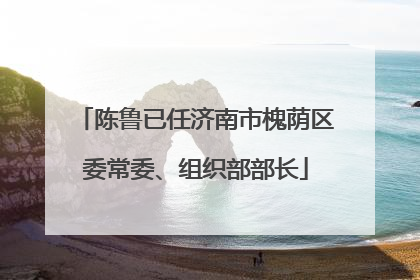 陈鲁已任济南市槐荫区委常委、组织部部长