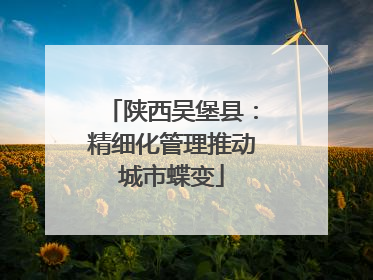 陕西吴堡县：精细化管理推动城市蝶变