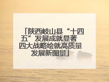 陕西岐山县“十四五”发展成就显著 四大战略绘就高质量发展新图景