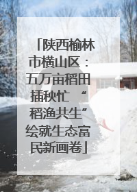 陕西榆林市横山区：五万亩稻田插秧忙 “稻渔共生”绘就生态富民新画卷